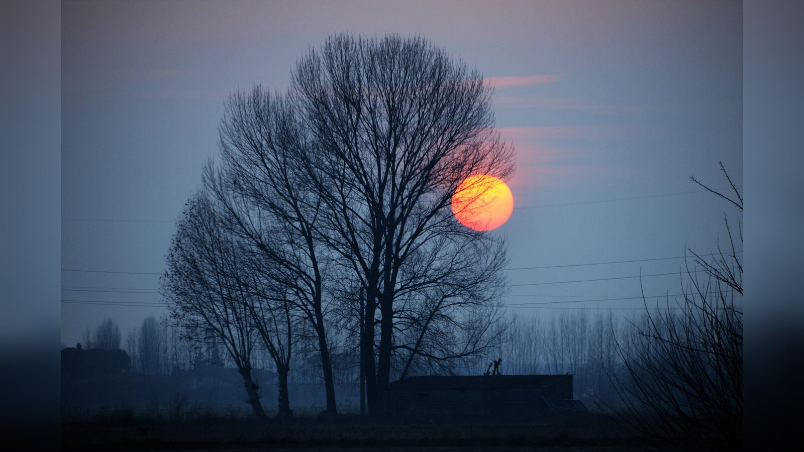 Tramonto sulla pianura padana con gli alberi in controluce